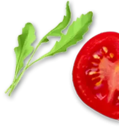tomate_mangericao